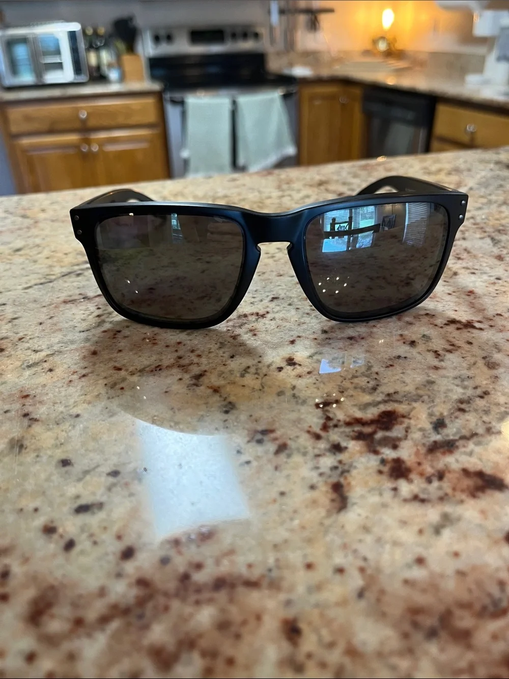 Oakley Men’s Black Holbrook XL